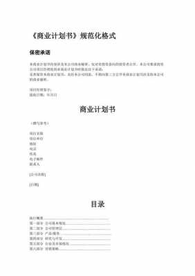  商业计划书附件模板「商业计划书模板下载word」-第3张图片-马瑞范文网