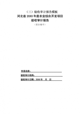  审计报告验收报告模板「工程验收审计报告」-第1张图片-马瑞范文网