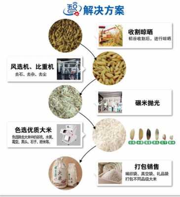 大米专项整治方案 大米整改方案模板-第1张图片-马瑞范文网