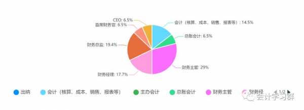 包含会计职业分析模板的词条-第2张图片-马瑞范文网