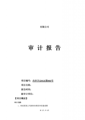 计划审批报告模板_2020年计划审查结果报告-第3张图片-马瑞范文网