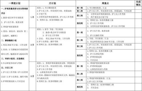 心内科护理年度工作计划-心内护理计划单模板-第2张图片-马瑞范文网