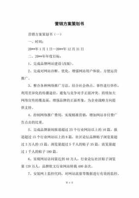 运营商家策划书模板,运营商营销方案 -第1张图片-马瑞范文网