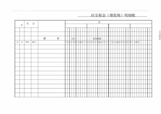 增值税明细账怎么填写 增值税明细账模板下载-第3张图片-马瑞范文网