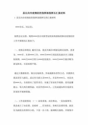 企业向县领导汇报模板,企业向县长汇报材料 -第3张图片-马瑞范文网