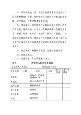 项目执行情况总结报告模板-第1张图片-马瑞范文网