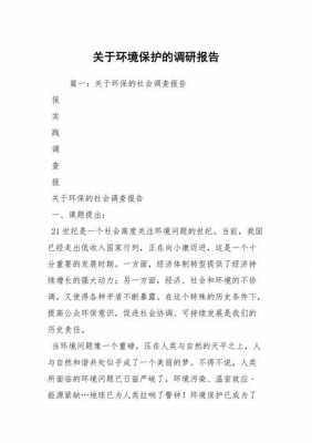 环境保护调研报告模板_环境保护调研报告模板下载-第3张图片-马瑞范文网