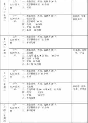 羽毛球训练策划案模板,羽毛球培训策划书 -第2张图片-马瑞范文网