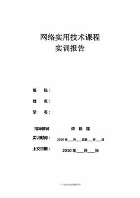 网络广告实训报告模板_网络广告策划实训报告-第2张图片-马瑞范文网