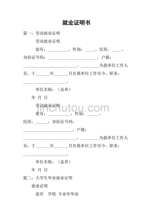 就业情况证明模板-第1张图片-马瑞范文网