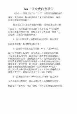  经费排查报告模板「费用排查报告怎么写」-第2张图片-马瑞范文网