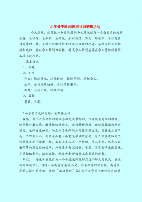 2019年国培计划研修总结 国培教育研修总结模板-第2张图片-马瑞范文网