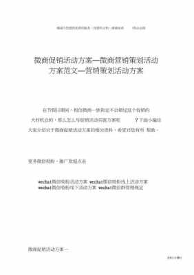 微商营销策划方案范文 微商策划书模板电子稿-第1张图片-马瑞范文网