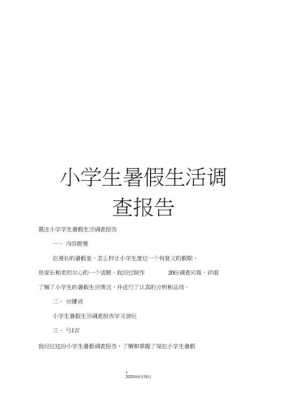 暑期调研工作计划模板,暑假调研活动报告 -第3张图片-马瑞范文网