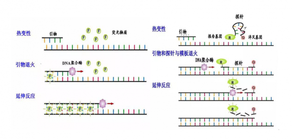 逆转录的场所_模板-第3张图片-马瑞范文网