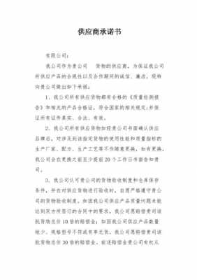  模板供应承诺书「简单供应商承诺书」-第3张图片-马瑞范文网