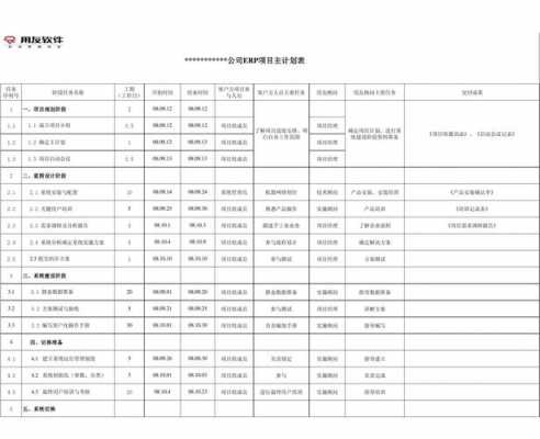 项目组织计划模板_项目组织实施计划-第3张图片-马瑞范文网