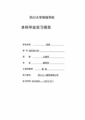 成都大学社会实践模板,四川大学锦城学院社会实践报告 -第2张图片-马瑞范文网