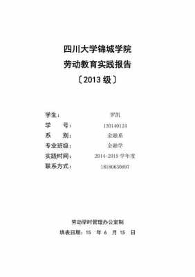 成都大学社会实践模板,四川大学锦城学院社会实践报告 -第1张图片-马瑞范文网