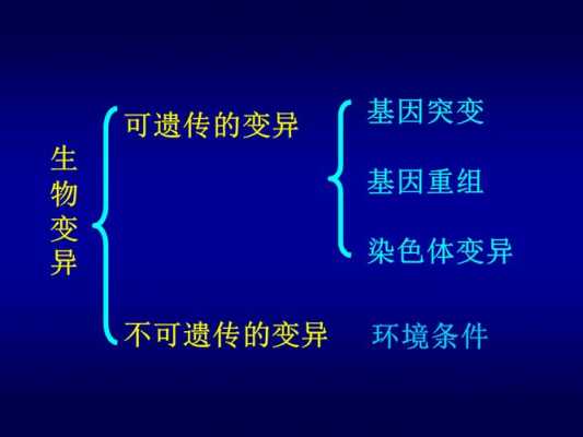 染色体变异ppt-免费ppt模板染色体-第3张图片-马瑞范文网