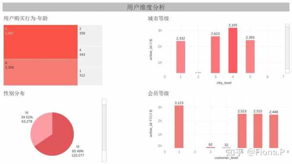 消费行为数据分析-第1张图片-马瑞范文网