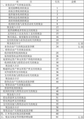 非盈利财务报告模板-第2张图片-马瑞范文网