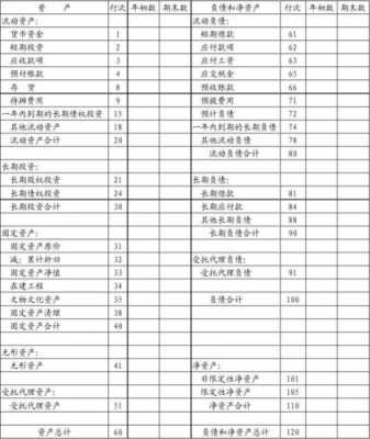 非盈利财务报告模板-第3张图片-马瑞范文网