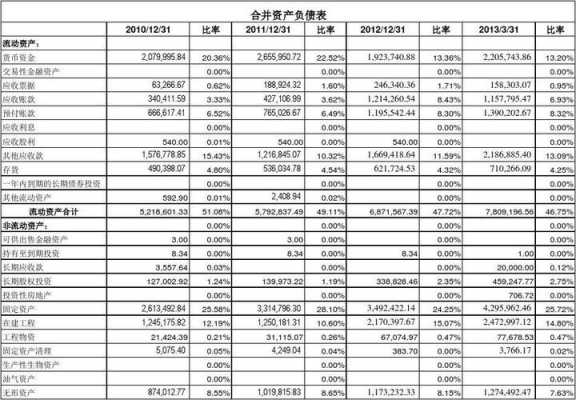 2财务报表分析模板（财务报表分析模板excel）-第1张图片-马瑞范文网