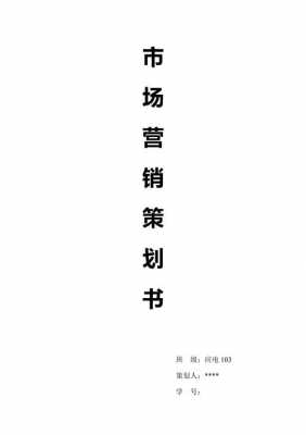 企业微营销策划书模板-第3张图片-马瑞范文网