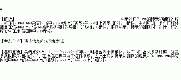 下列关于模板的叙述中,错误的是 对模板下列-第3张图片-马瑞范文网