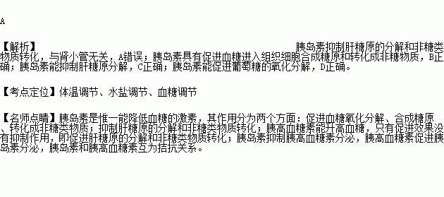 下列关于模板的叙述中,错误的是 对模板下列-第1张图片-马瑞范文网