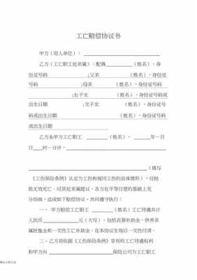 工亡赔偿协议书注意事项 工亡协议模板-第1张图片-马瑞范文网