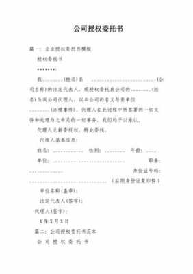  公司代理商授权书模板「公司代理授权委托书范本」-第3张图片-马瑞范文网