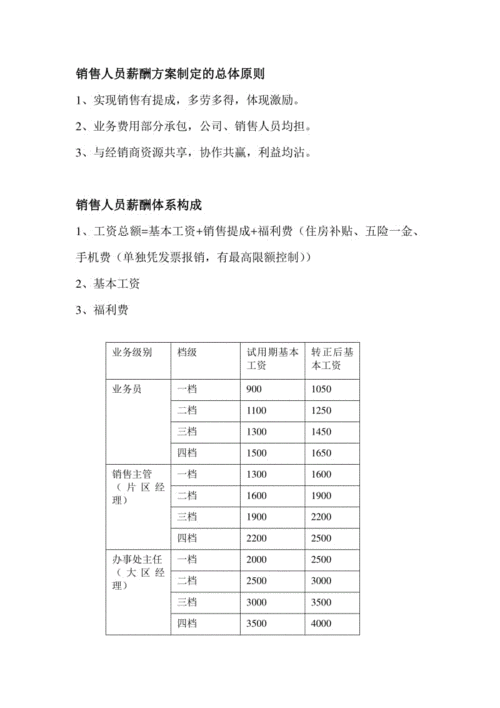  销售人员薪酬模板「销售人员的薪酬方案设计」-第3张图片-马瑞范文网