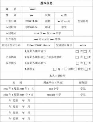 共青团团表模板,共青团团表是什么 -第2张图片-马瑞范文网