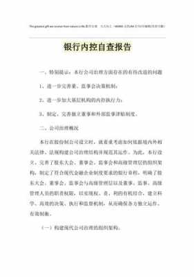  销售内控自查报告模板「销售内控自查报告模板怎么写」-第2张图片-马瑞范文网