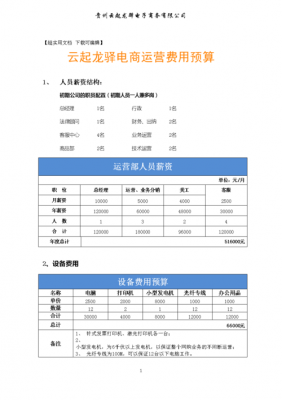 天猫推广预算模板图片-第2张图片-马瑞范文网