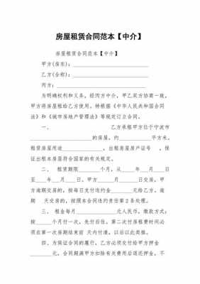 和中介签租房合同模板（和中介签租房合同模板范文）-第3张图片-马瑞范文网