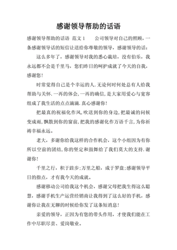 感谢商会会长辛苦付出的话-感谢商会帮助的模板-第2张图片-马瑞范文网