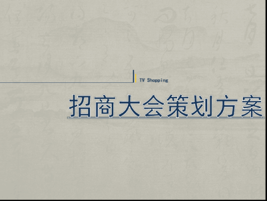 赞助招商会议方案模板（大型活动赞助招商方案）-第3张图片-马瑞范文网