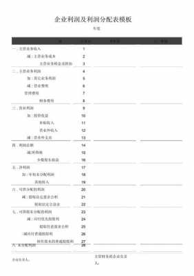 股份利润分配表模板,股份公司利润分配方案 -第3张图片-马瑞范文网