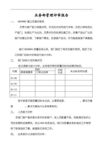 业务评审报告模板（业务部管理评审报告）-第1张图片-马瑞范文网