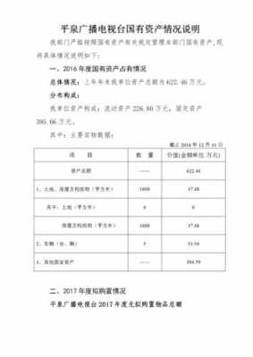 公司资产说明模板-第2张图片-马瑞范文网