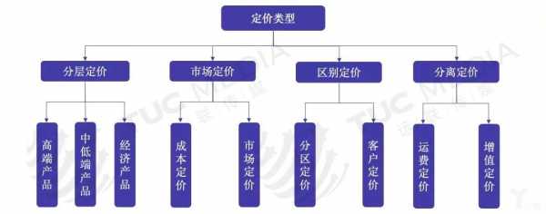 市场定位定价模板-第3张图片-马瑞范文网