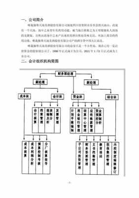 制造业企业会计制度-制造业会计制度模板-第3张图片-马瑞范文网