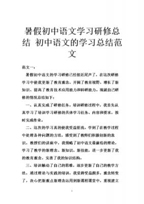 初中语文研修总结模板_初中语文研修总结模板怎么写-第2张图片-马瑞范文网