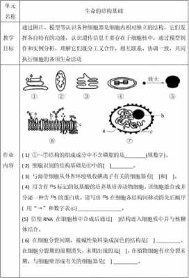 高中生物作业布置-高中生物作业设计模板-第2张图片-马瑞范文网