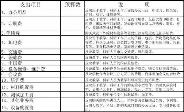  大创预算模板「大创预算怎么写」-第2张图片-马瑞范文网