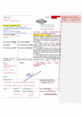 提单模板怎么填写内容-第3张图片-马瑞范文网