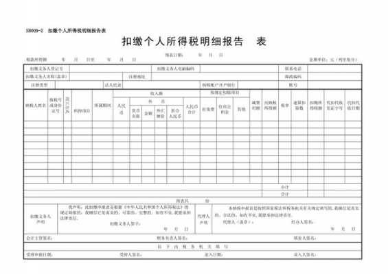 个人所得税扣缴明细表-扣缴个人所得税汇总报告表模板-第3张图片-马瑞范文网